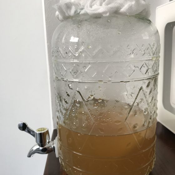 Kombucha